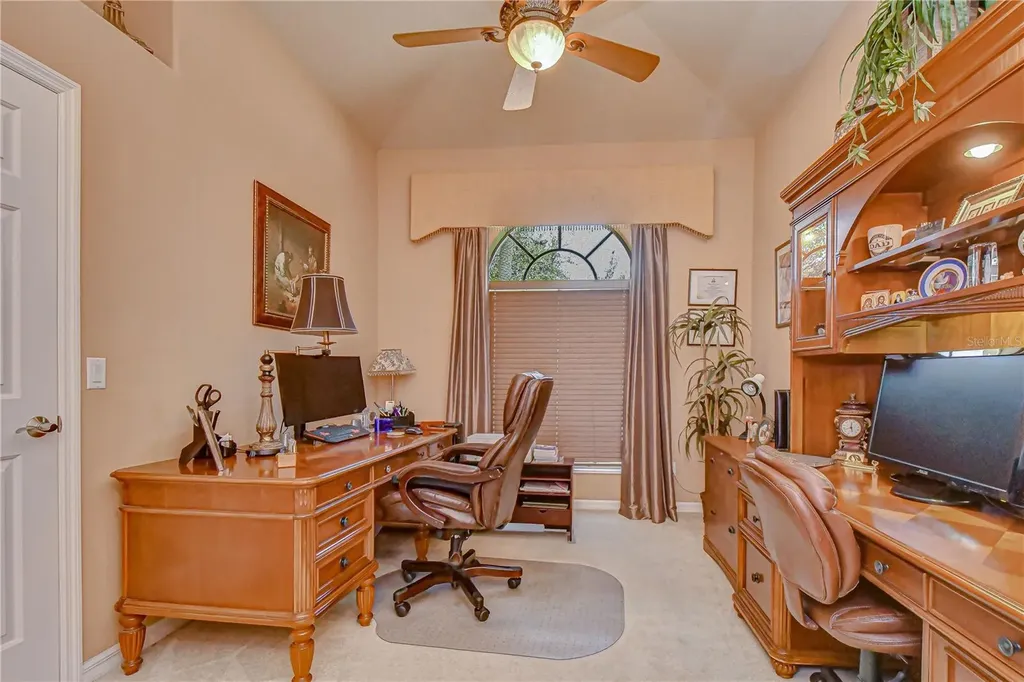 20915 Lake Vienna Drive Land O Lakes FL 34638