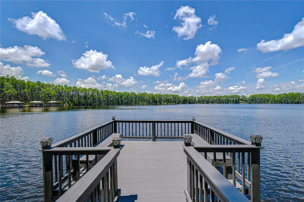 20915 Lake Vienna Drive Land O Lakes FL 34638