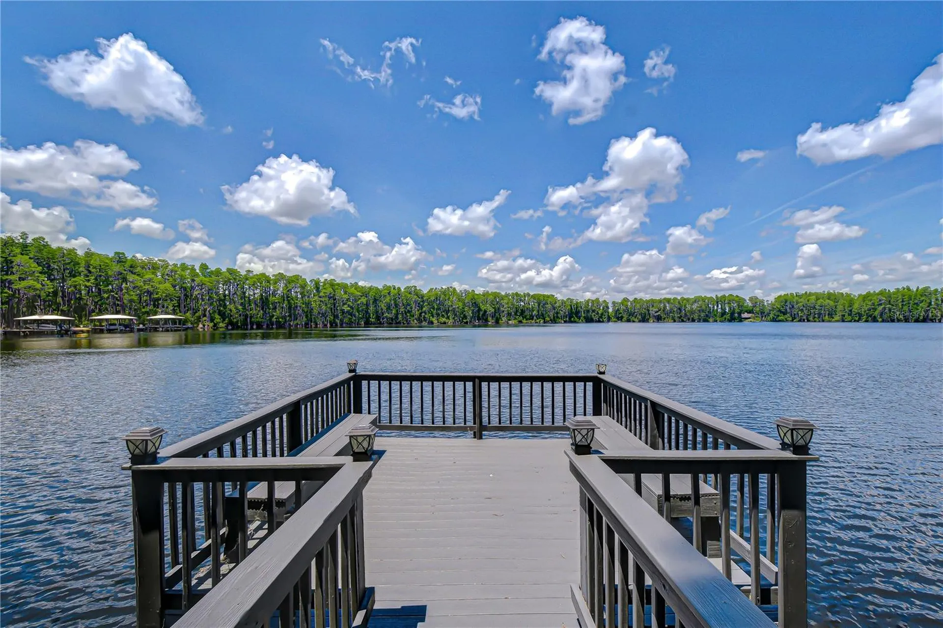 20915 Lake Vienna Drive Land O Lakes FL 34638