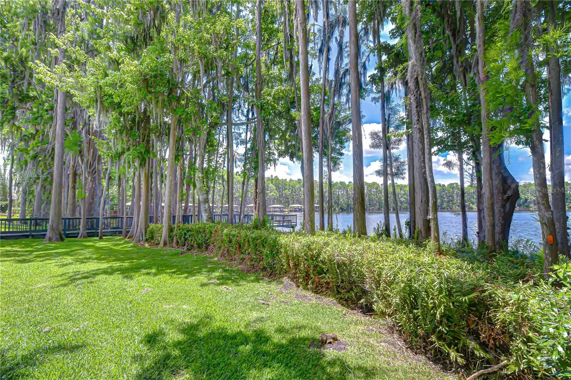 20915 Lake Vienna Drive Land O Lakes FL 34638