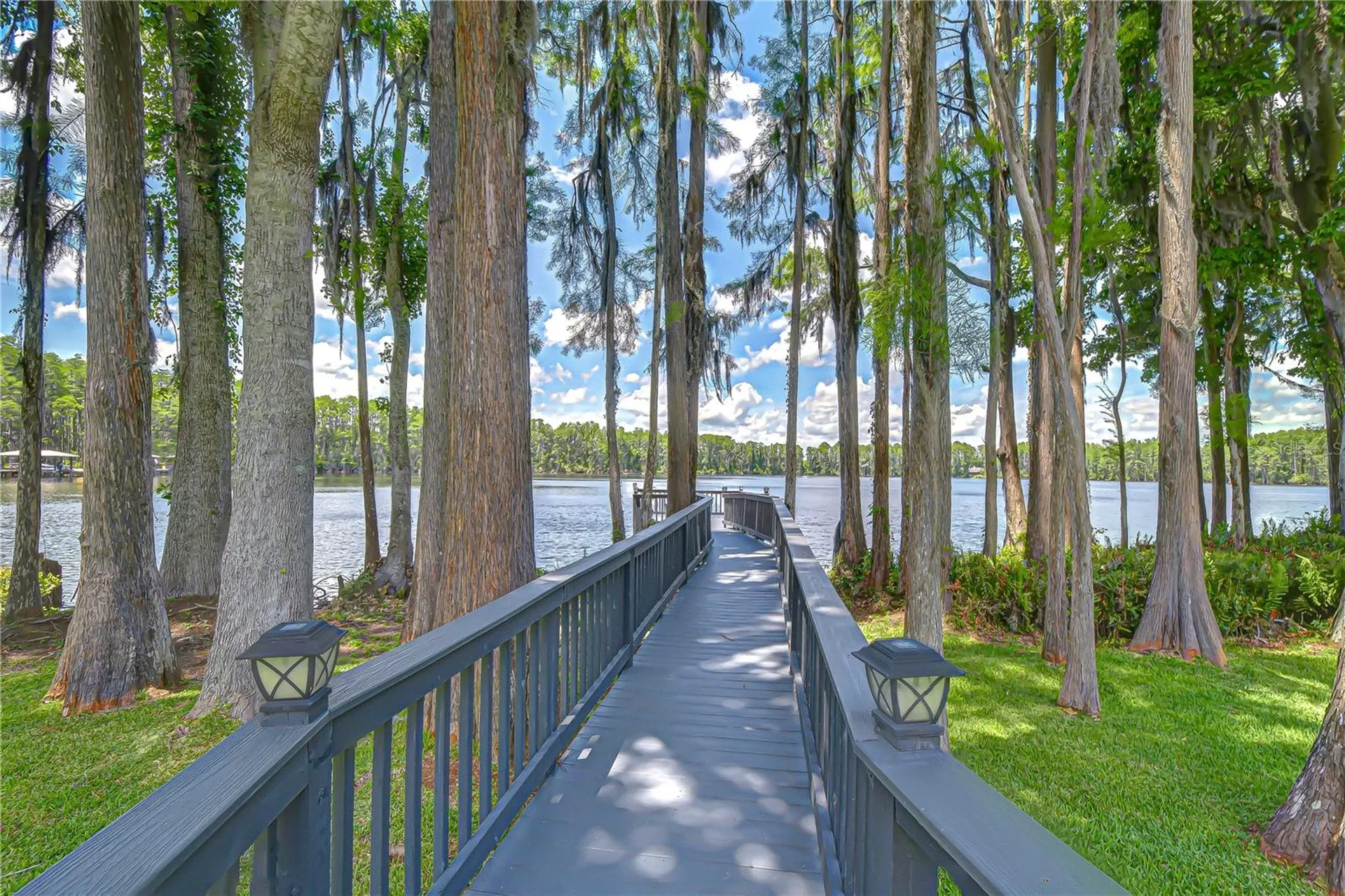 20915 Lake Vienna Drive Land O Lakes FL 34638