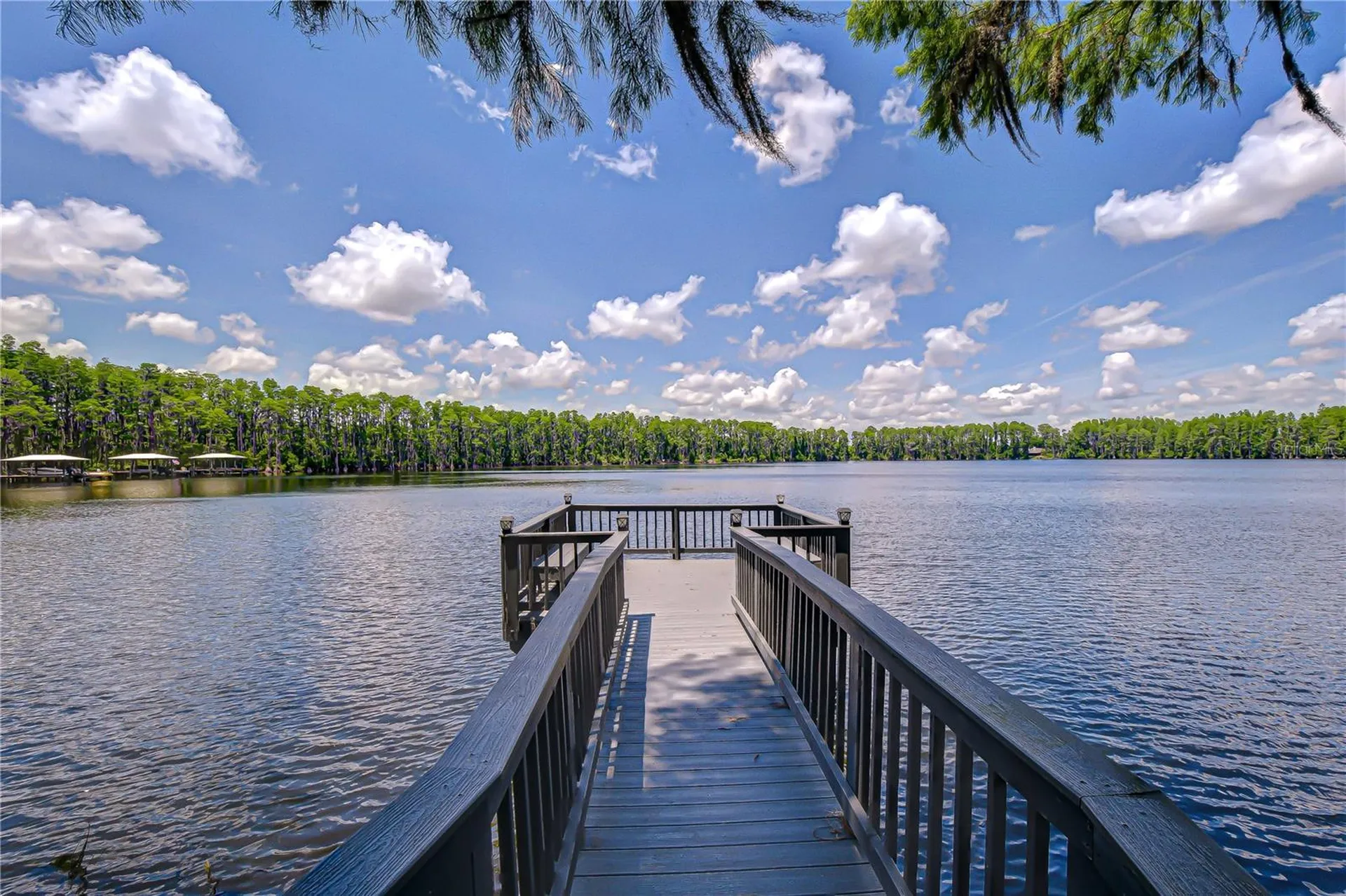 20915 Lake Vienna Drive Land O Lakes FL 34638
