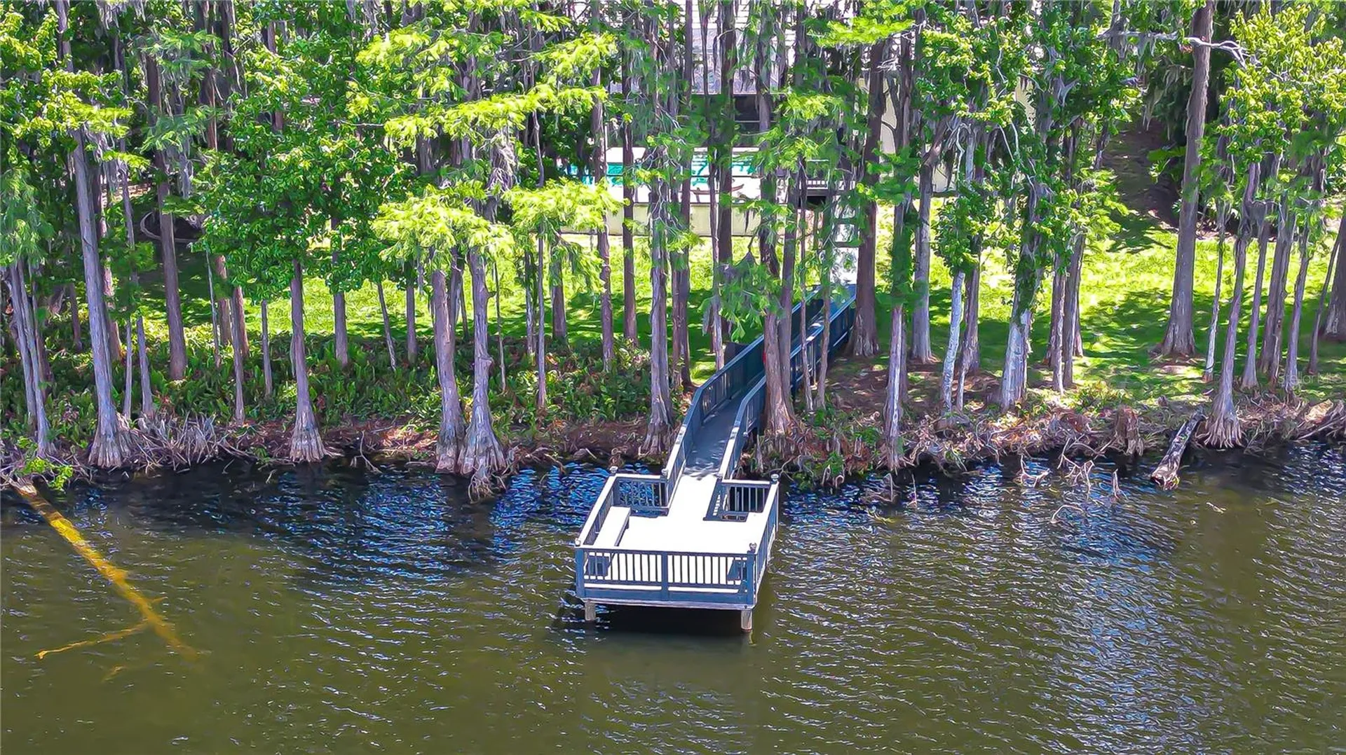 20915 Lake Vienna Drive Land O Lakes FL 34638