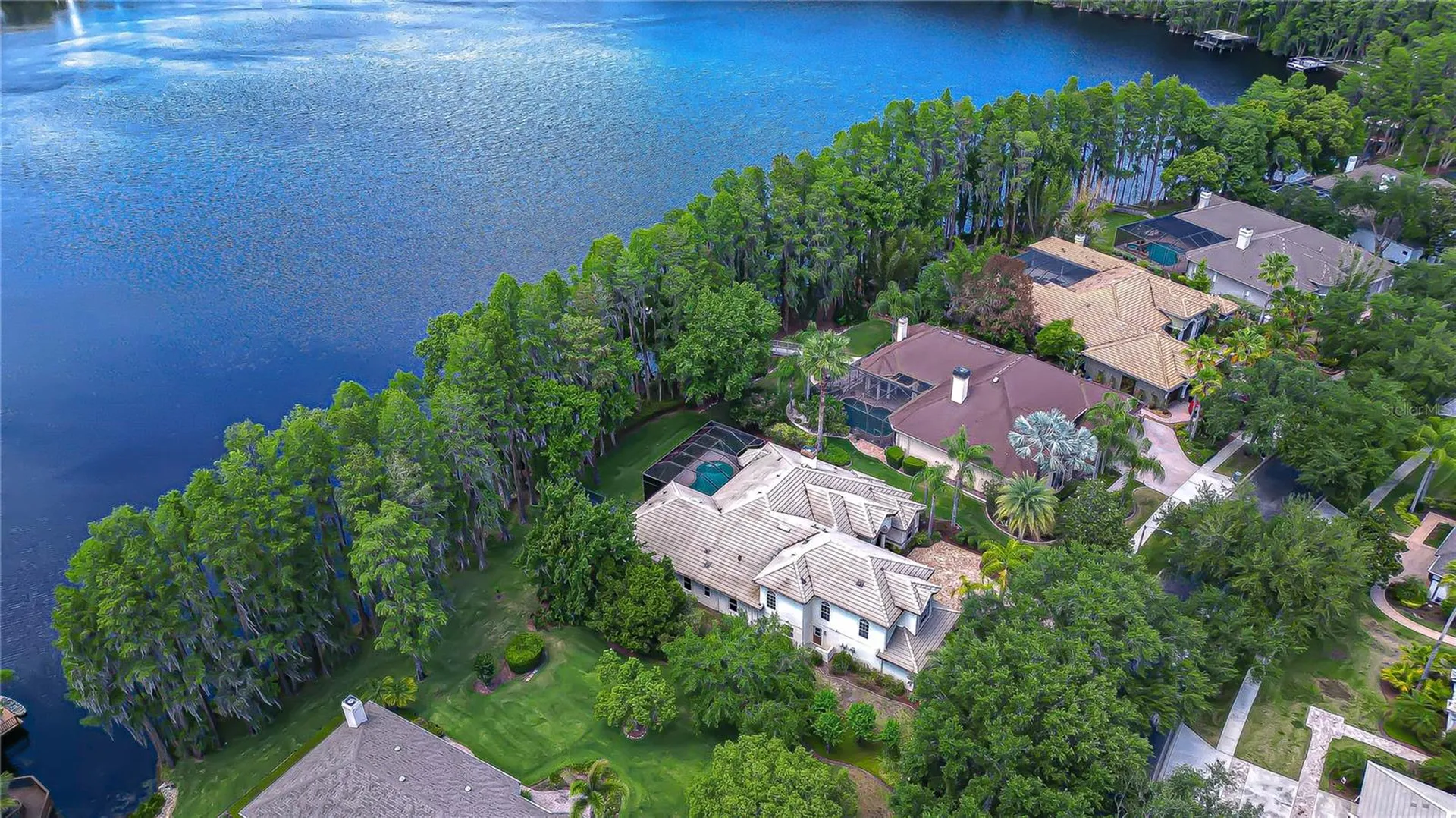 20915 Lake Vienna Drive Land O Lakes FL 34638