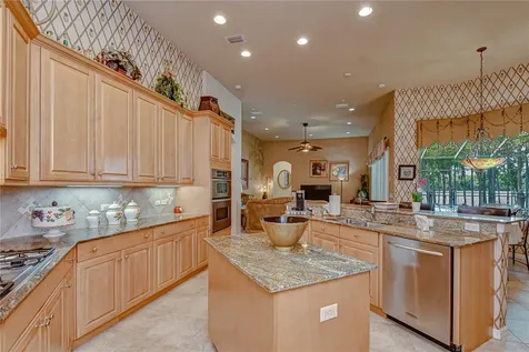 20915 Lake Vienna Drive Land O Lakes FL 34638