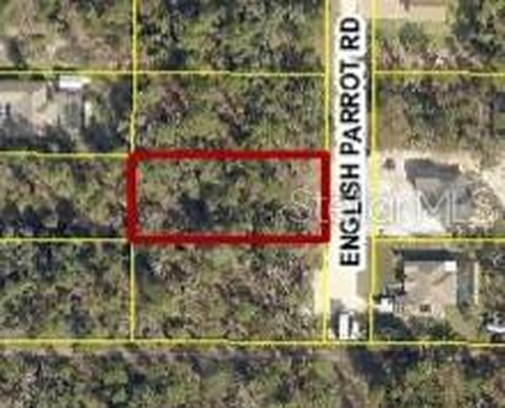 13415 English Parrot Road Brooksville FL 34614