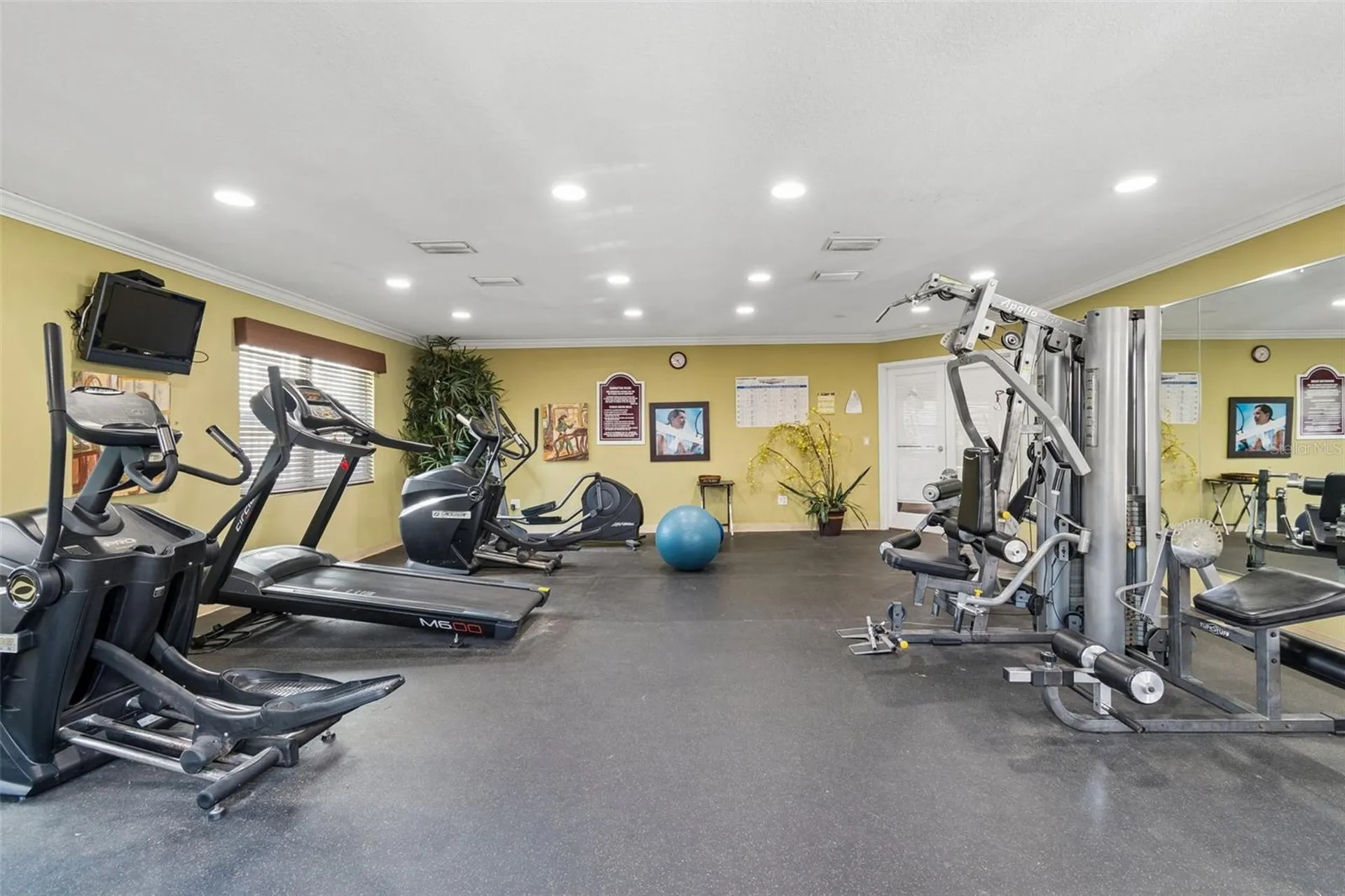 7210 N Manhattan Avenue Tampa FL 33614