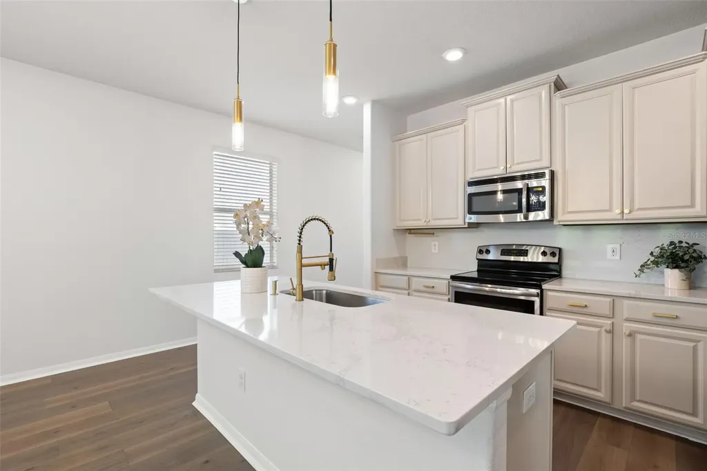 18928 Hampstead Heath Court Land O Lakes FL 34638
