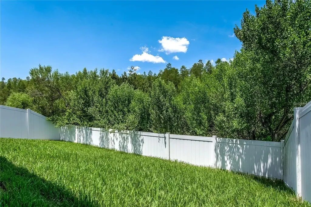 18928 Hampstead Heath Court Land O Lakes FL 34638