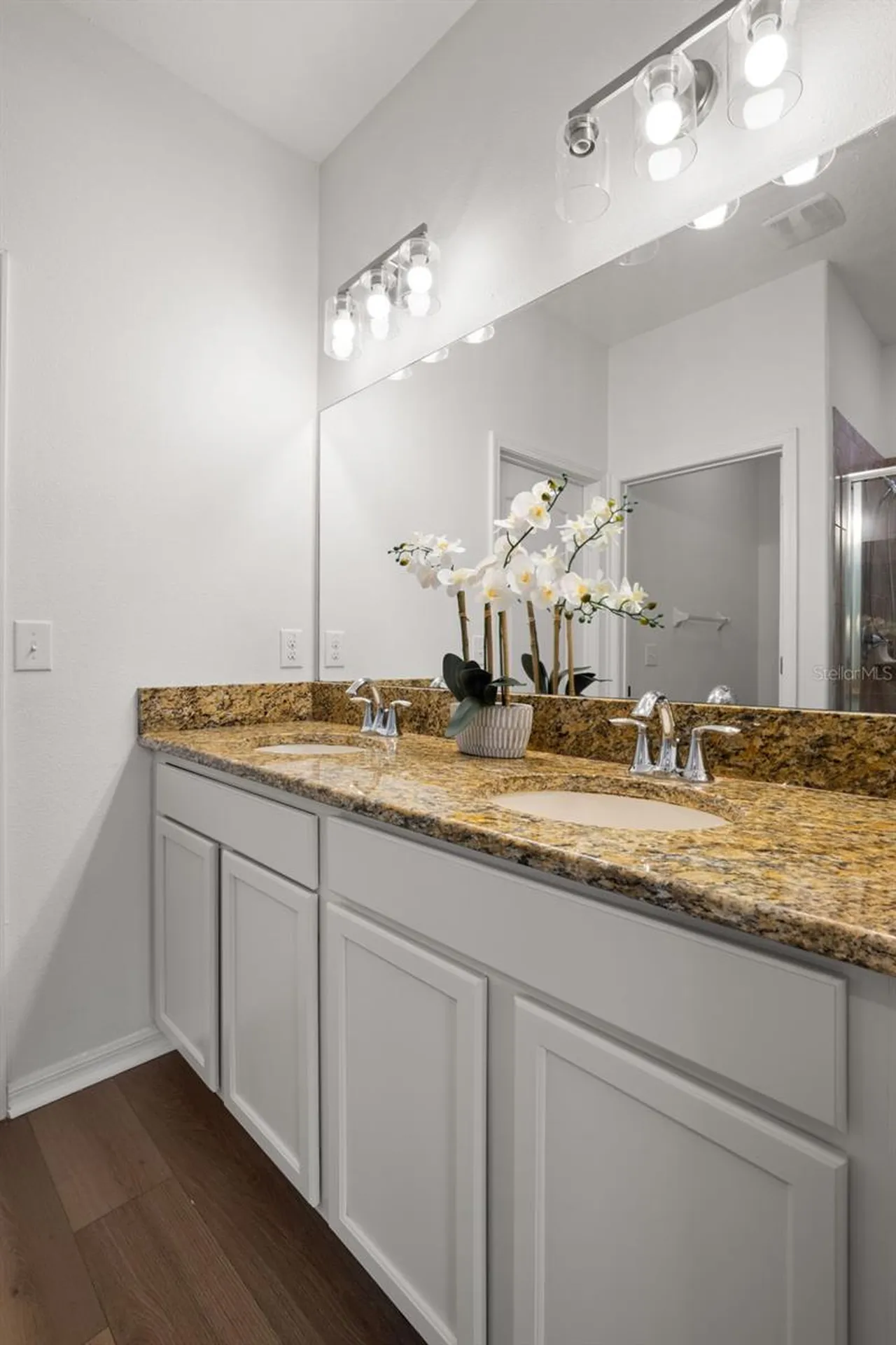 18928 Hampstead Heath Court Land O Lakes FL 34638