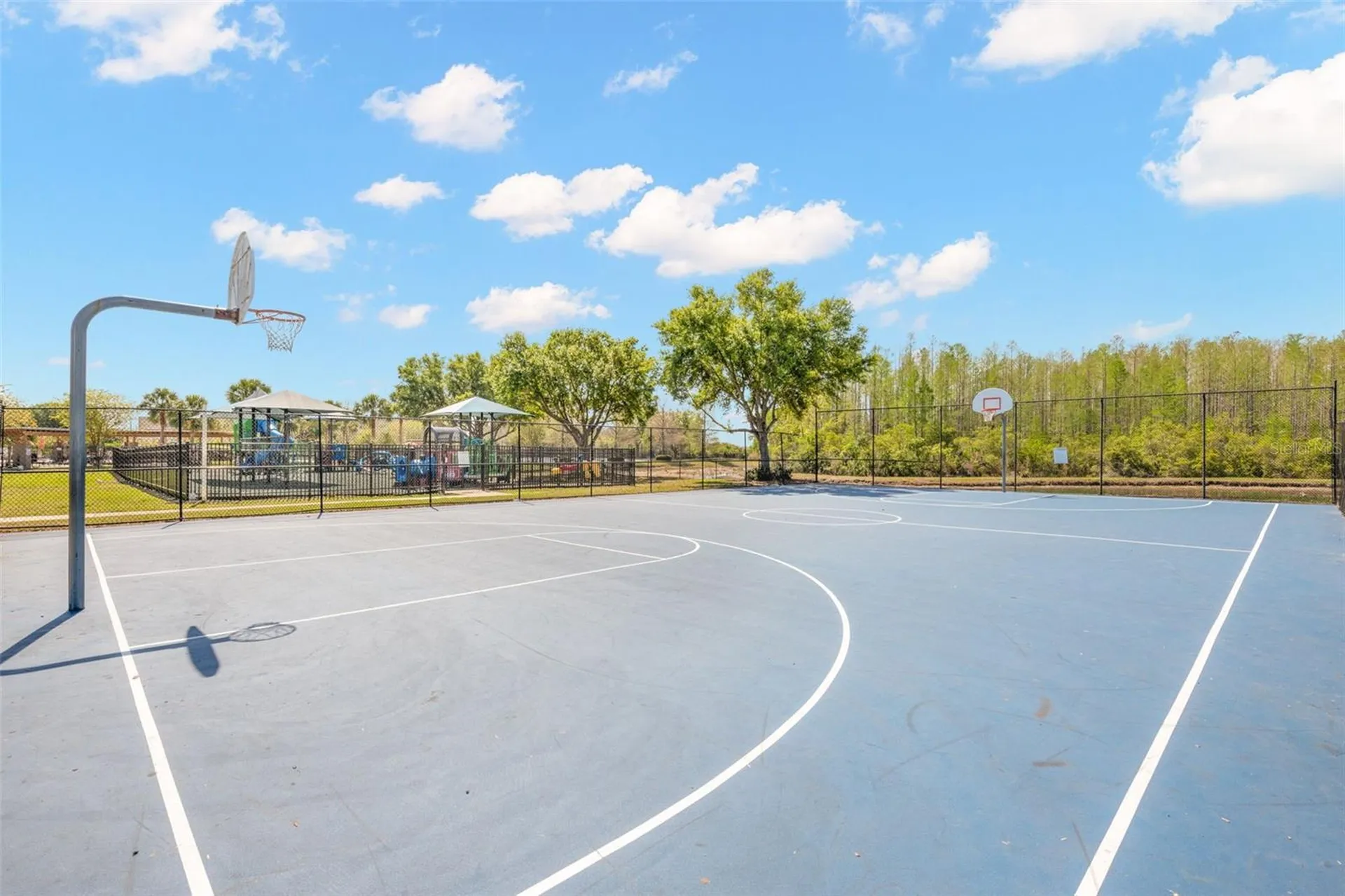 18928 Hampstead Heath Court Land O Lakes FL 34638