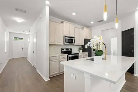 18928 Hampstead Heath Court Land O Lakes FL 34638