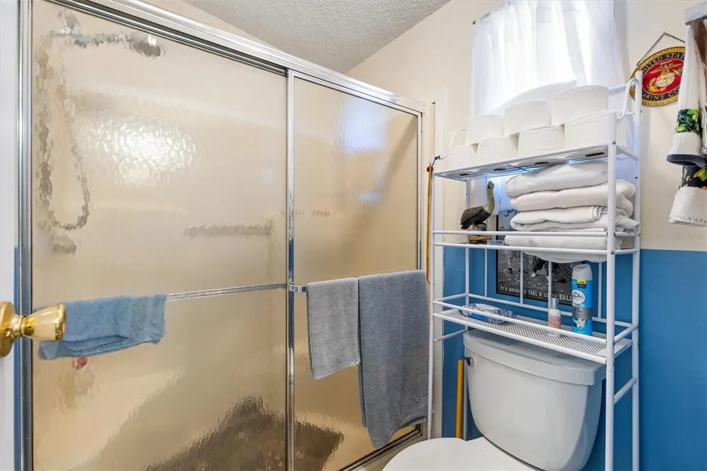 1228 Palmetto Drive The Villages FL 32159