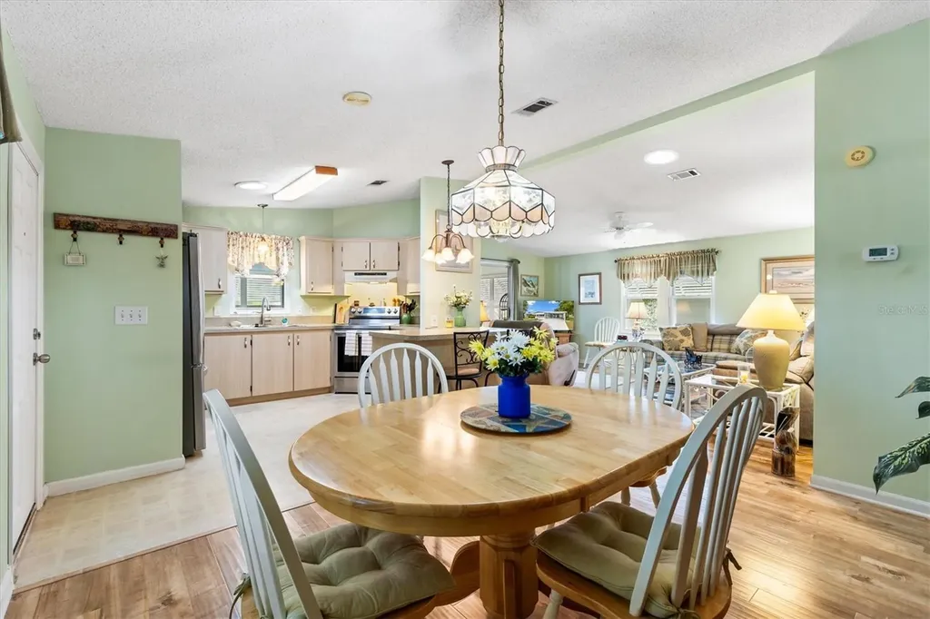 1228 Palmetto Drive The Villages FL 32159