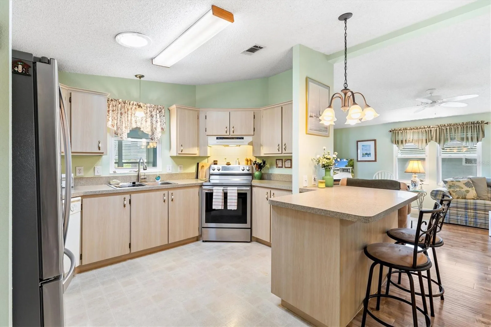 1228 Palmetto Drive The Villages FL 32159
