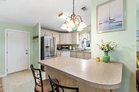 1228 Palmetto Drive The Villages FL 32159