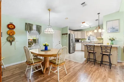 1228 Palmetto Drive The Villages FL 32159