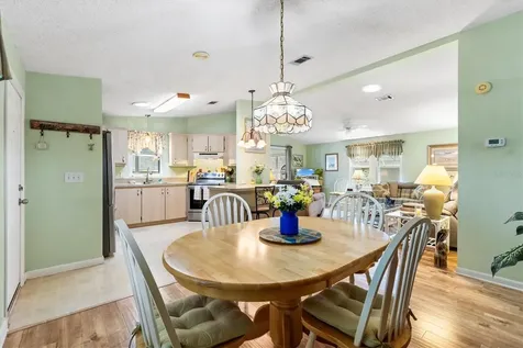 1228 Palmetto Drive The Villages FL 32159