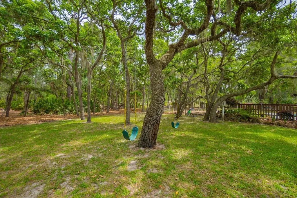 6479 W Candier Court Dunnellon FL 34433