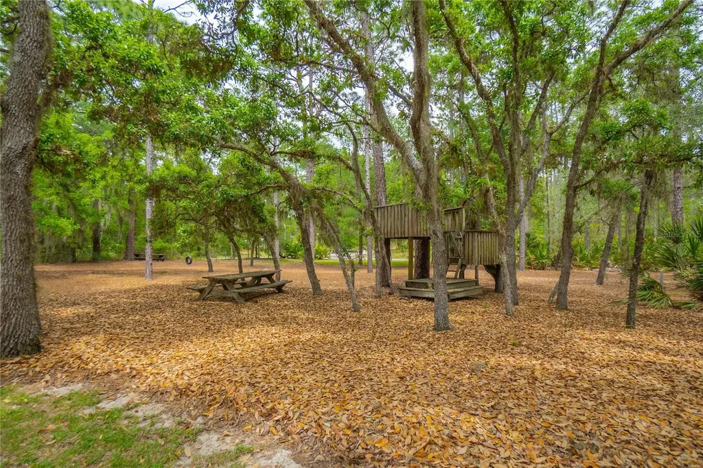 6479 W Candier Court Dunnellon FL 34433