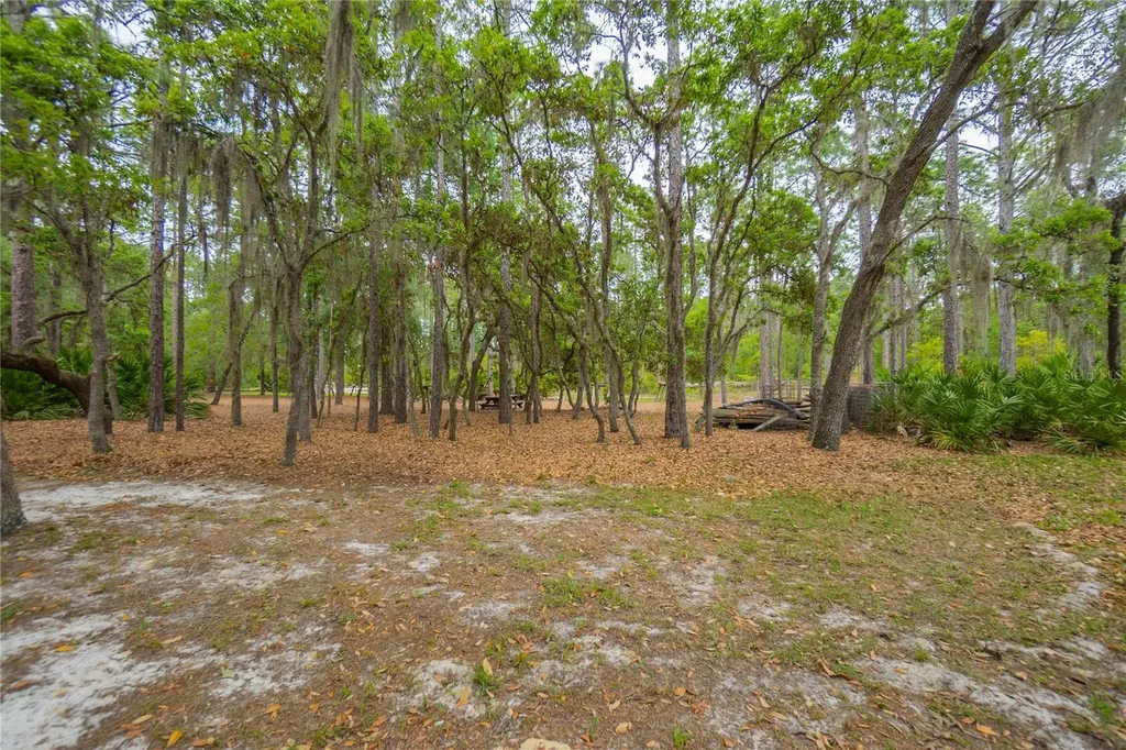 6479 W Candier Court Dunnellon FL 34433