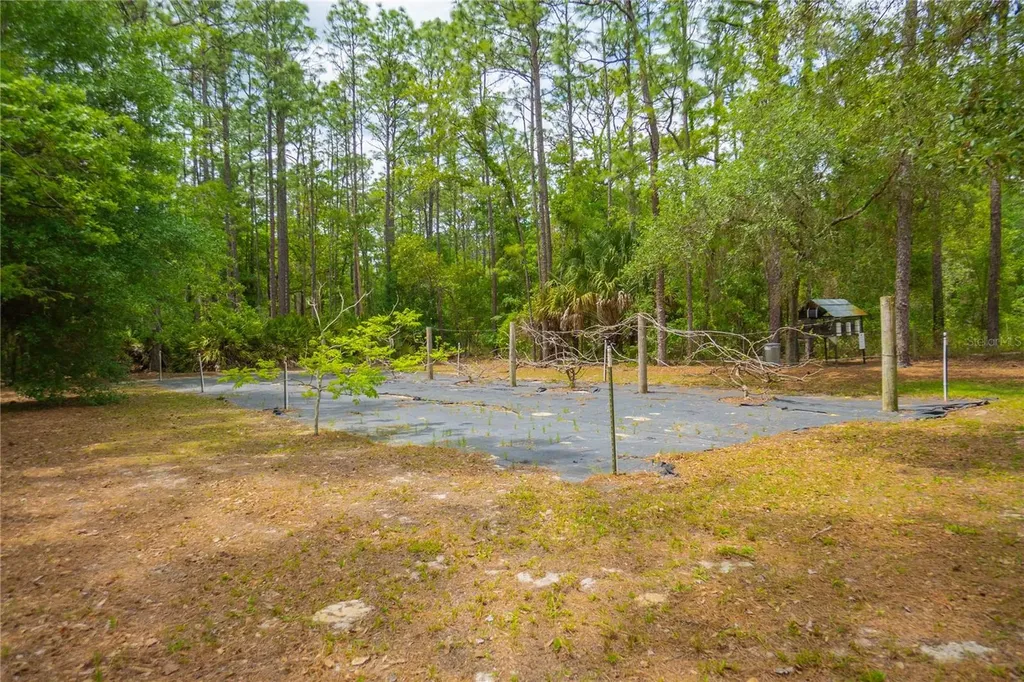 6479 W Candier Court Dunnellon FL 34433