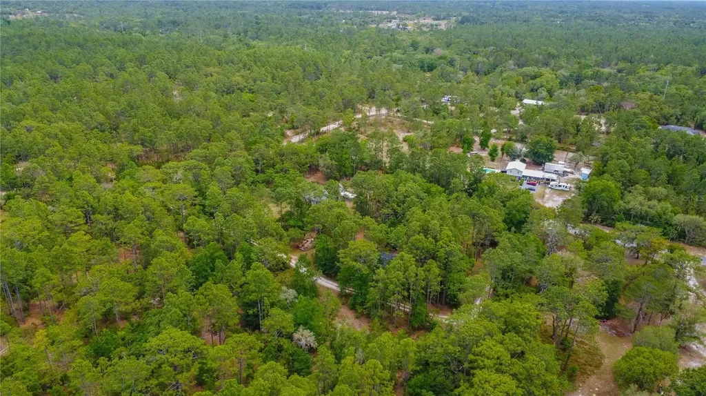 6479 W Candier Court Dunnellon FL 34433