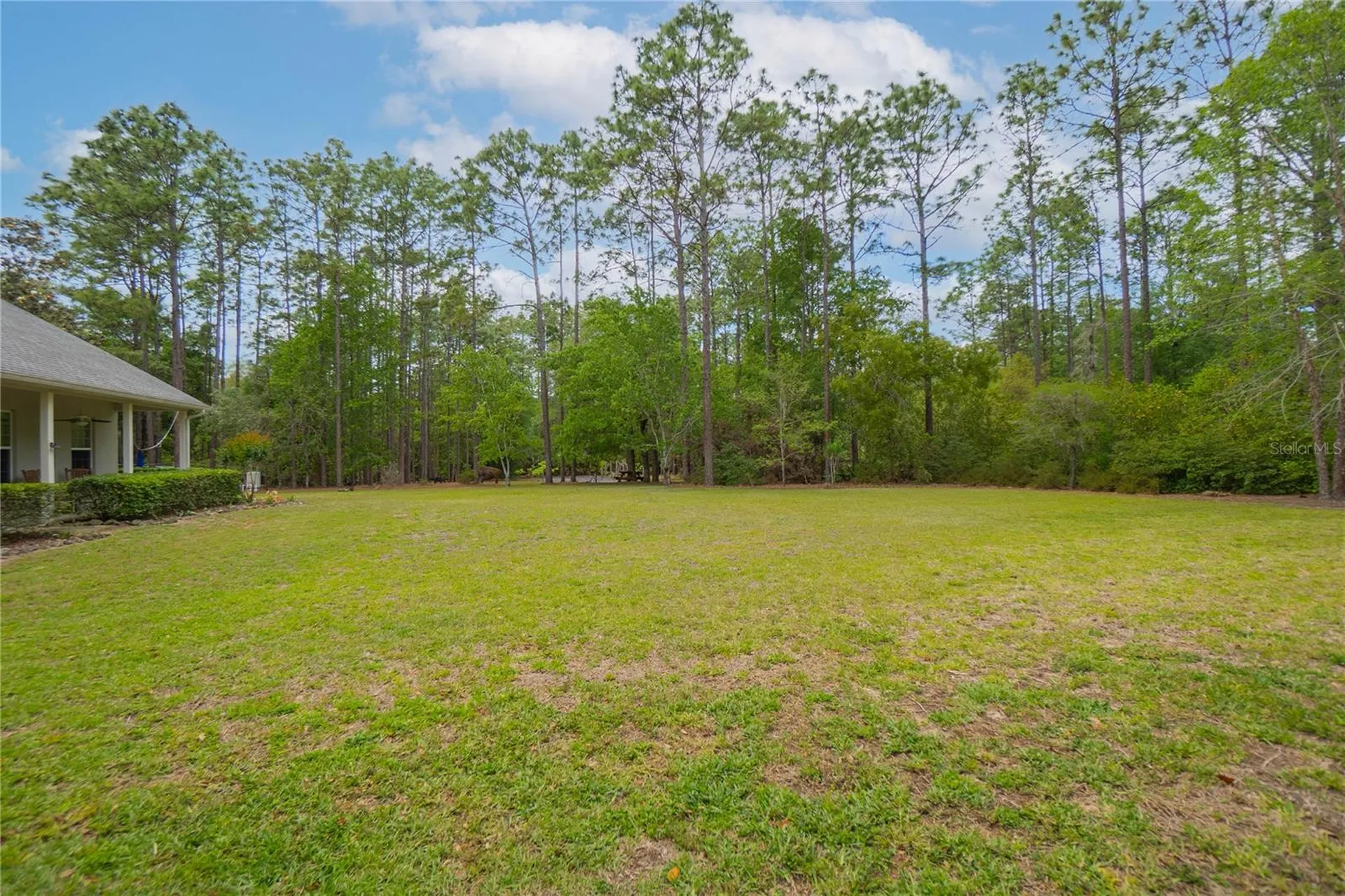 6479 W Candier Court Dunnellon FL 34433