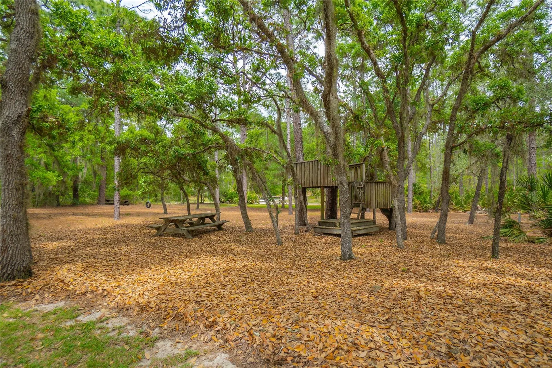 6479 W Candier Court Dunnellon FL 34433