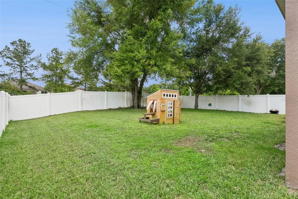 5821 Coquyt Drive Mount Dora FL 32757