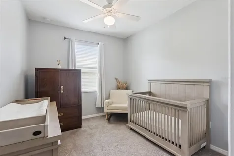 5821 Coquyt Drive Mount Dora FL 32757