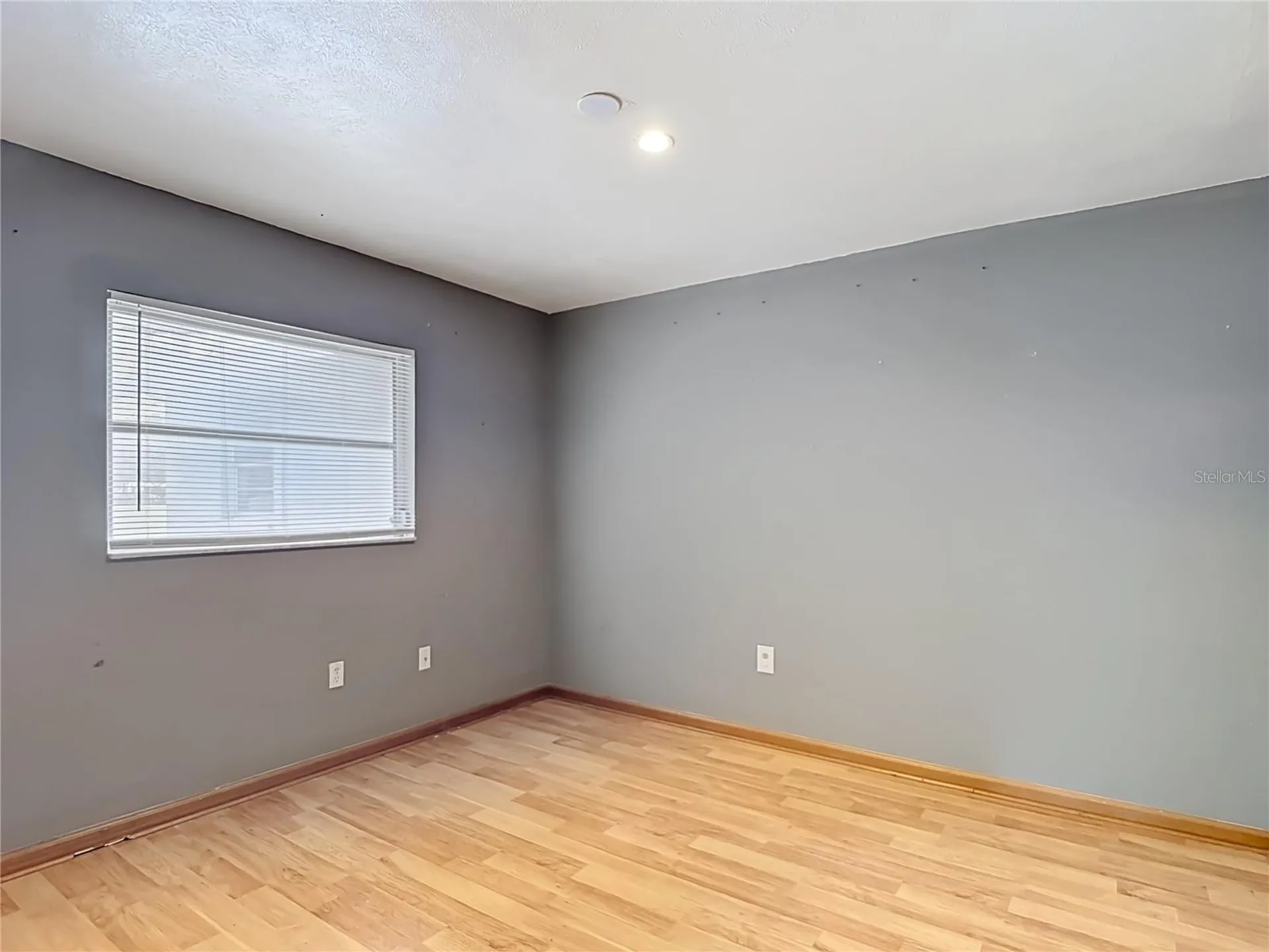 6155 9th Street Zephyrhills FL 33542