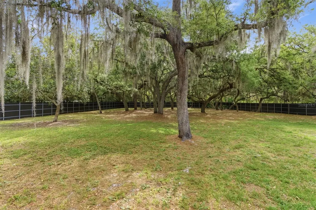 176 Lake Eva Drive Chuluota FL 32766