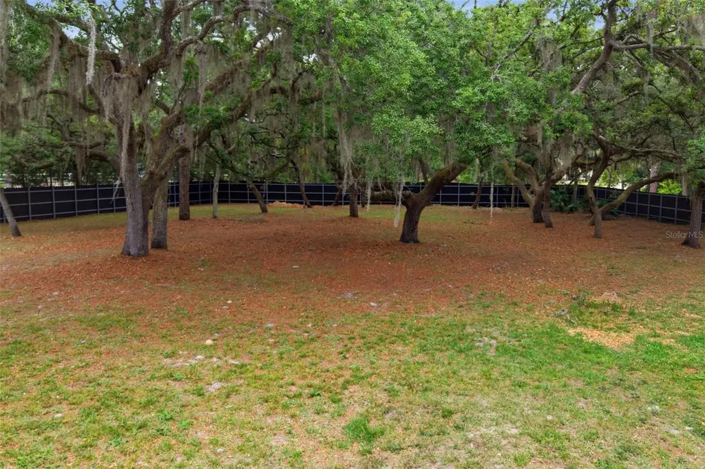 176 Lake Eva Drive Chuluota FL 32766