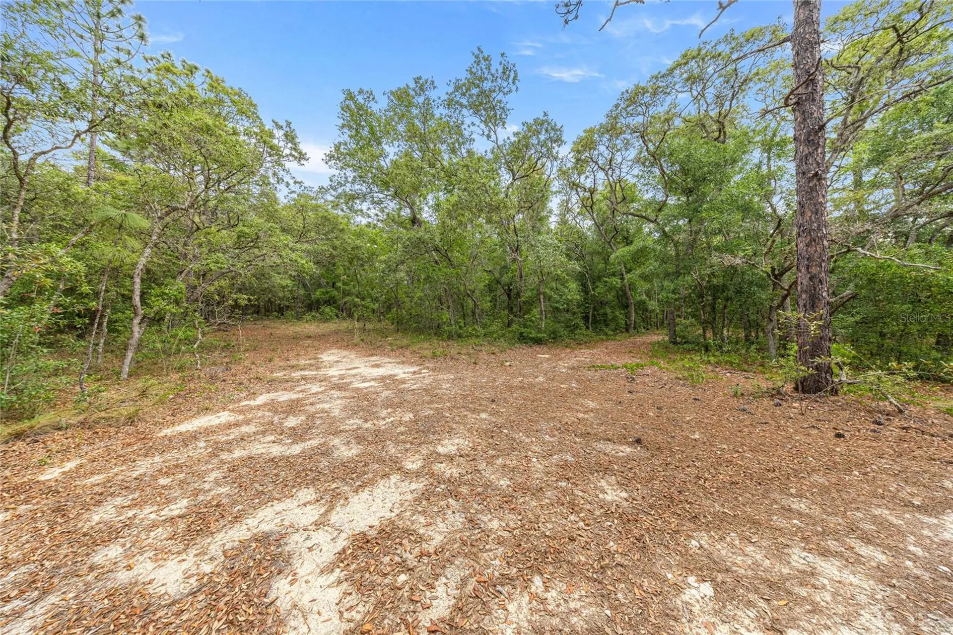 414 S School Avenue Lecanto FL 34461