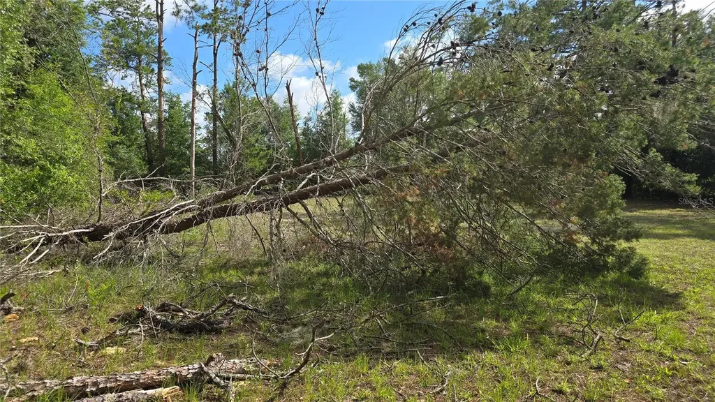 20851 SW Audubon Avenue Dunnellon FL 34431