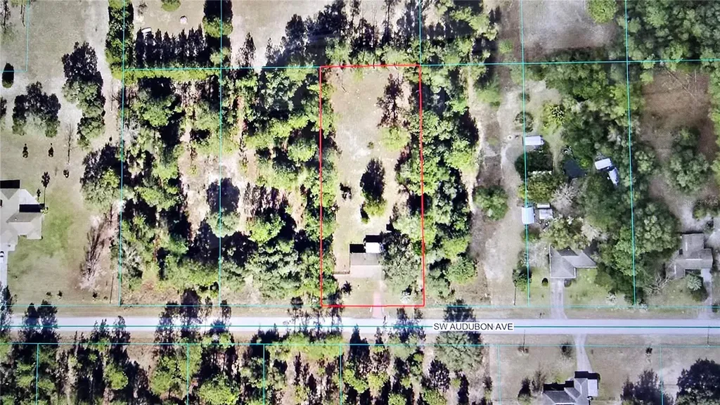 20851 SW Audubon Avenue Dunnellon FL 34431