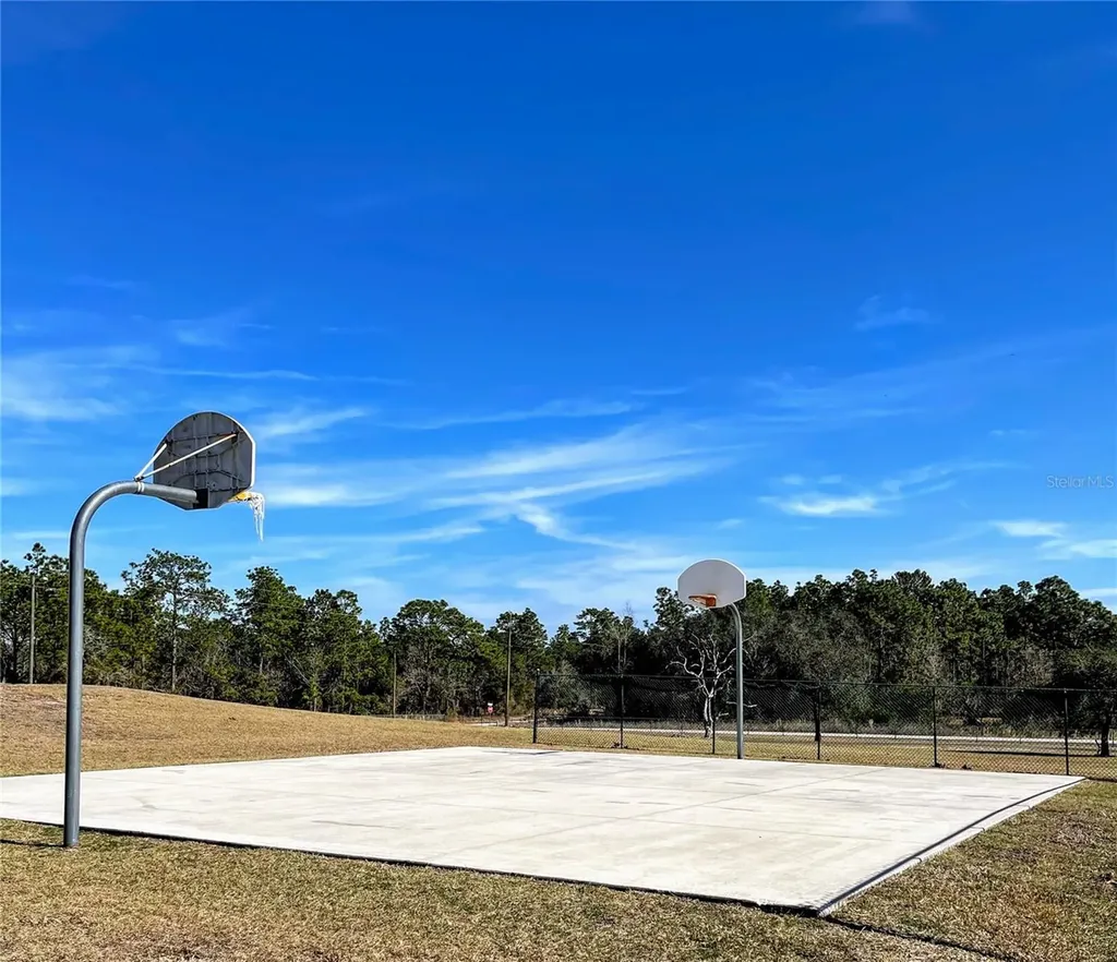 20851 SW Audubon Avenue Dunnellon FL 34431