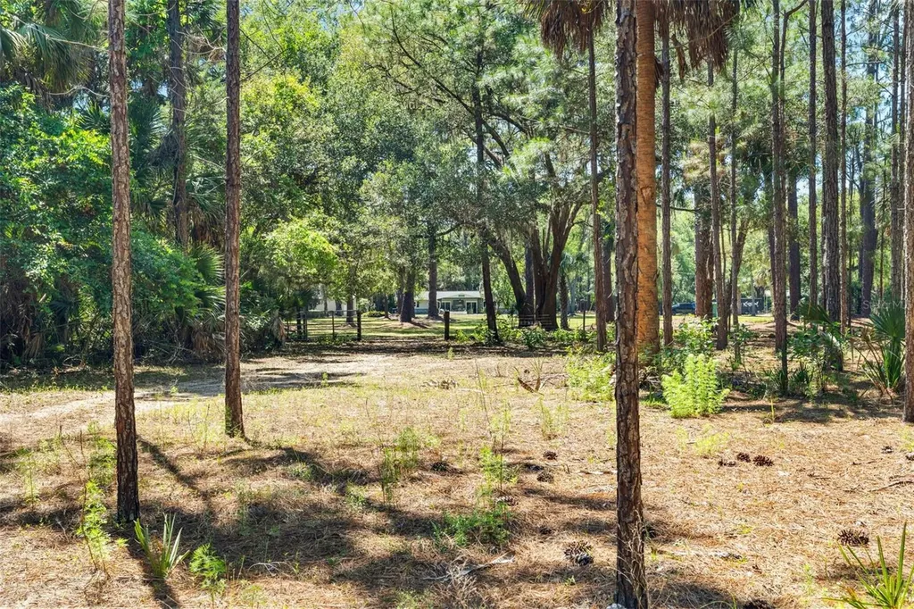7845 N Flame Vine Way Crystal River FL 34428