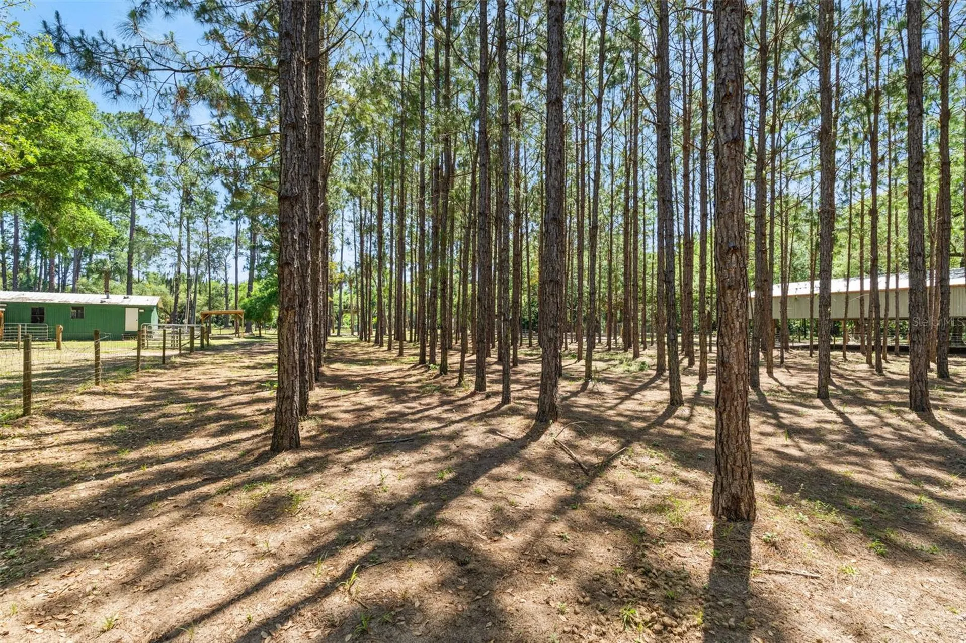 7845 N Flame Vine Way Crystal River FL 34428