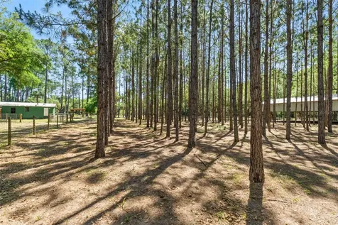 7845 N Flame Vine Way Crystal River FL 34428