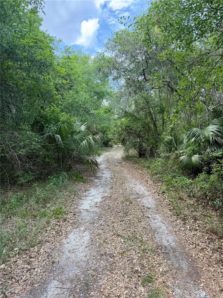 16500 NE 48th Avenue Citra FL 32113