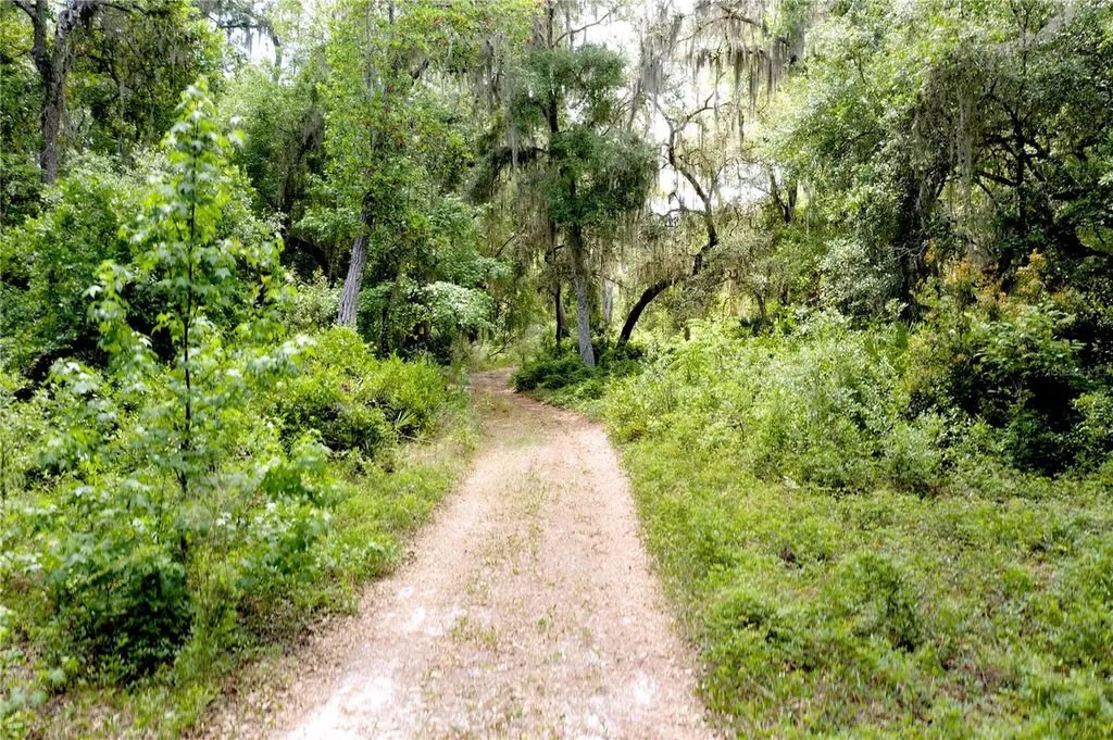 16500 NE 48th Avenue Citra FL 32113