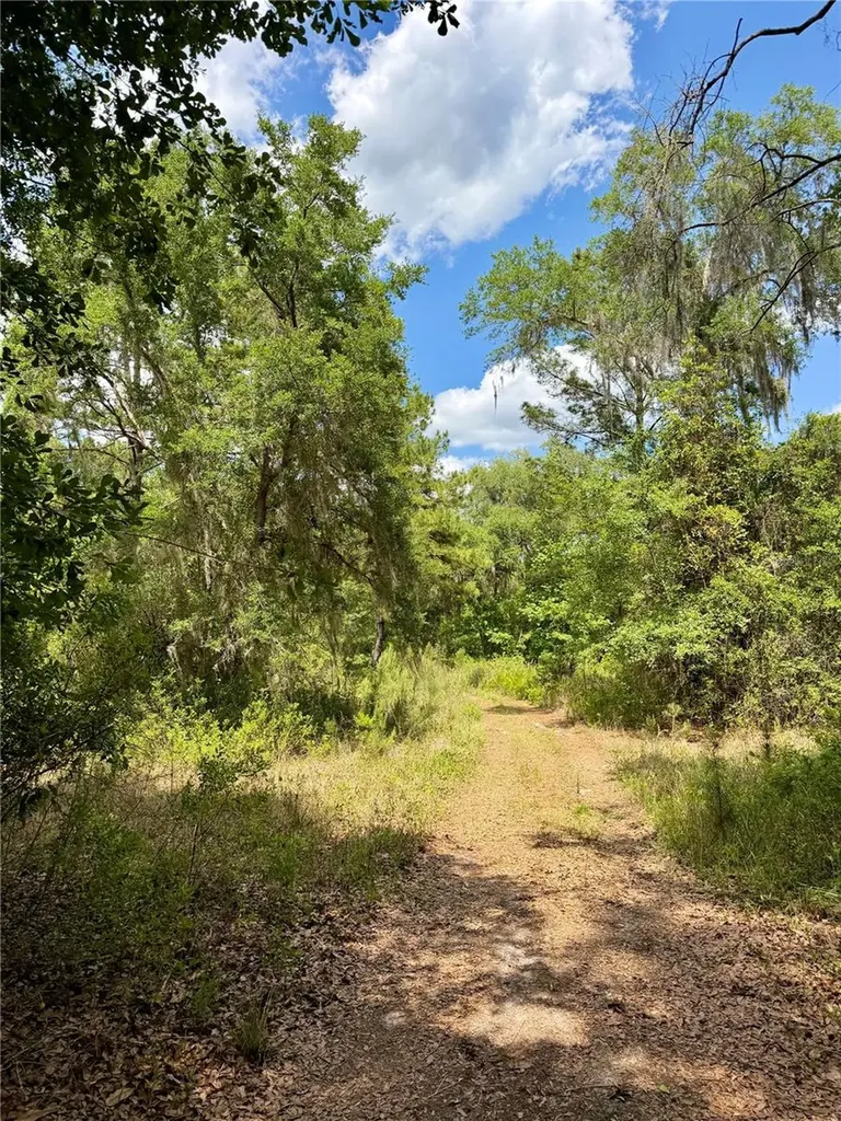 16500 NE 48th Avenue Citra FL 32113