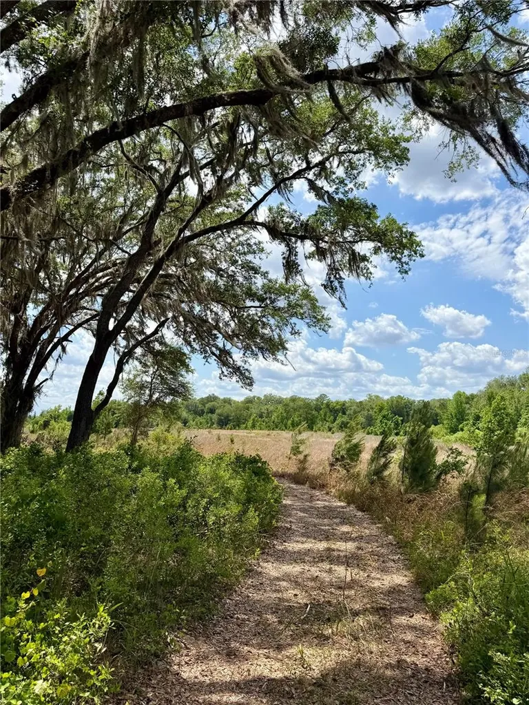 16500 NE 48th Avenue Citra FL 32113