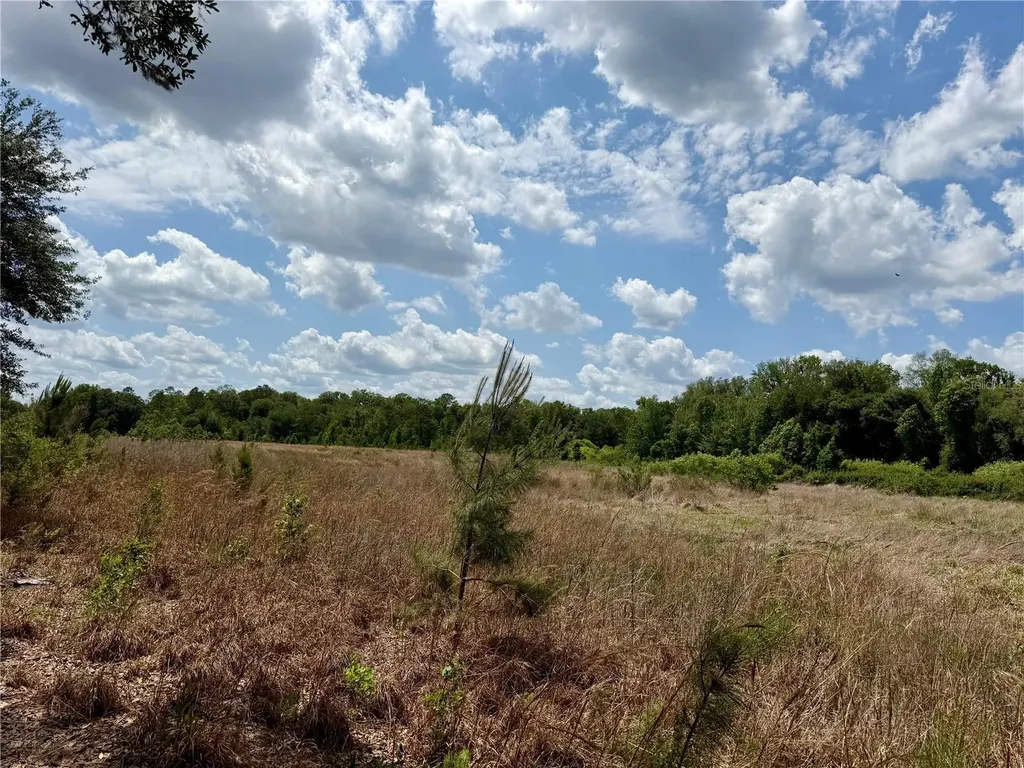 16500 NE 48th Avenue Citra FL 32113