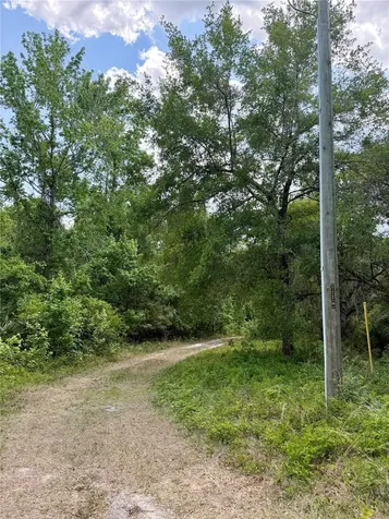 16500 NE 48th Avenue Citra FL 32113