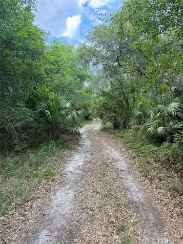 16500 NE 48th Avenue Citra FL 32113