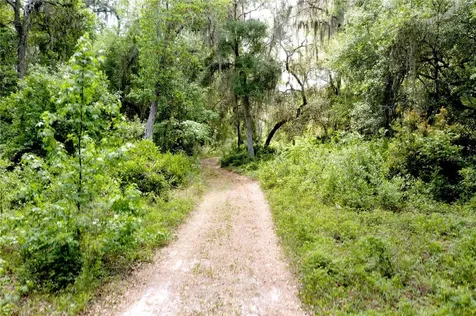 16500 NE 48th Avenue Citra FL 32113