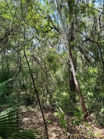 16500 NE 48th Avenue Citra FL 32113